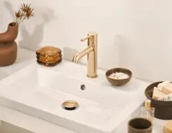 HANSA VANTIS Style Washbasin faucet Brushed bronze